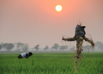 Roadmap For A Modern Agriculture Of Natural Blessings