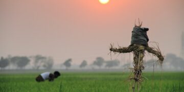 Roadmap For A Modern Agriculture Of Natural Blessings