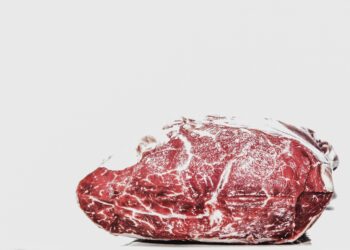 Regulatory changes in store for meat industry under Biden administration | Livestock