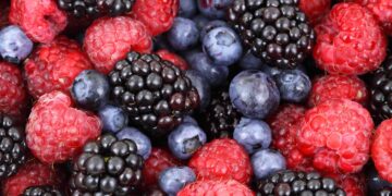 Fresh Berry Leader Driscoll’s Appoints Two New Members to Company’s Board of Directors