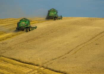 Farm Organizations Seeking Support For Carbon Offset System Rewards