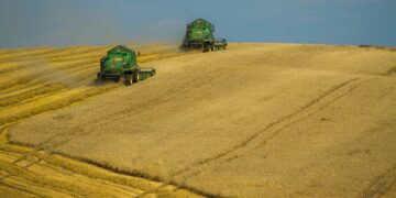 Farm Organizations Seeking Support For Carbon Offset System Rewards