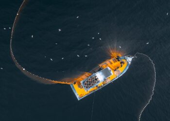 New Trial Shows FeedKind an Ideal Feed Ingredient for Japanese Yellowtail