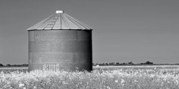 Climate Change Creating New Problems With Crop Storage