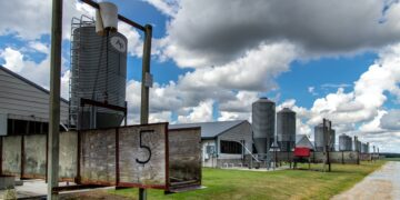 As Regulations Vanish, One Missouri County is Ground Zero for Factory Farming Debate