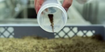 Indoor Farm In South Bend Taking On Lettuce Market