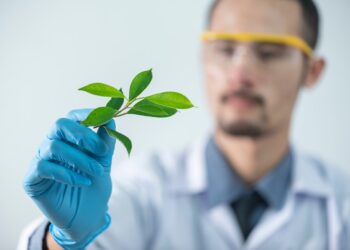 Science, policy and capacity key to future of agriculture, FAO Director-General says