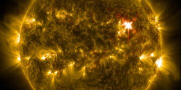 Will Solar Milling Technology Take Root In Africa?