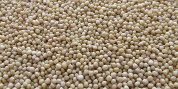 China should play its part in curbing soy-driven ecosystem loss