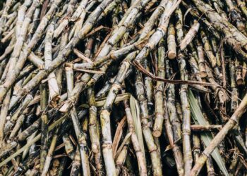 Environmental Group Caught Pushing Fake News on FL Farmers · The Floridian