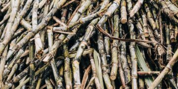 Environmental Group Caught Pushing Fake News on FL Farmers · The Floridian