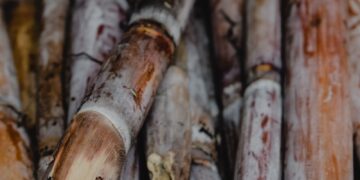 PHL Freeze on US Sugar Exports Billed As Raising Farm Incomes