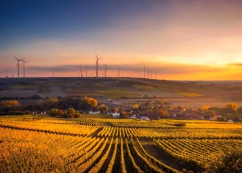 How farmers can improve profitability while helping the environment