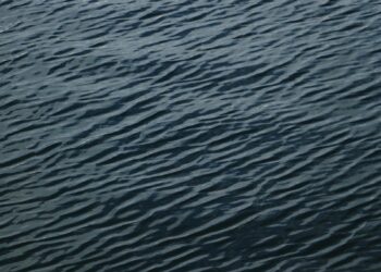 OurCrowd, US Firm Set Up Water Tech, Agtech Investment Portfolio