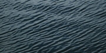 OurCrowd, US Firm Set Up Water Tech, Agtech Investment Portfolio