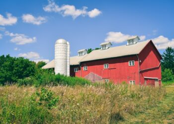 Bumper Year Ahead For Agriculture, But Farmers Still Need To Plan For Tough Times