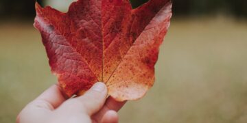 Further Investment Into Traceability and Marketing Partnership 