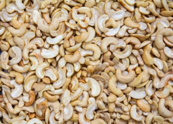 Africa’s Cashew Producers Miss Out On Opportunities Due To Lack Of Processing Capacity