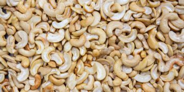 Africa’s Cashew Producers Miss Out On Opportunities Due To Lack Of Processing Capacity