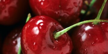 Fruit Attraction 2021: the World’s First Face-to-Face Horticultural Fair