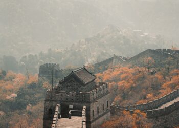 China’s Food Security Policy Is Shaking Up Commodity Trading