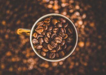Big Ambitions for Uganda’s Small-Scale Coffee Farms