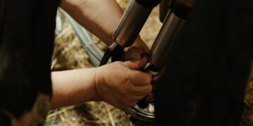 Milk Recording Uptake Increased By 18% Compared To 2019