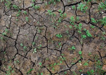 Grain Prices Pushed Higher As Weather Worries Grow