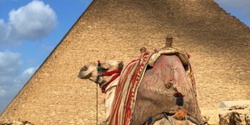 Egypt Plans ‘New Delta’ To Boost Food Security