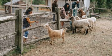 Sheboygan Falls Couple Started Diamond Vu To Teach About Agriculture