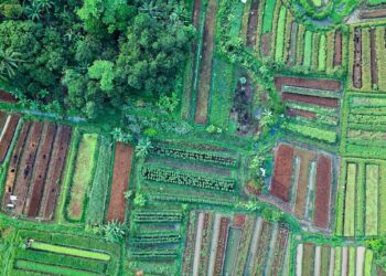 MDEC Partners CIMB Islamic to Provide Up To RM25m In Financing To Catalyse Digital Agtech