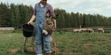 Virtual Tour Gives Students Real-World View Of Life On The Farm