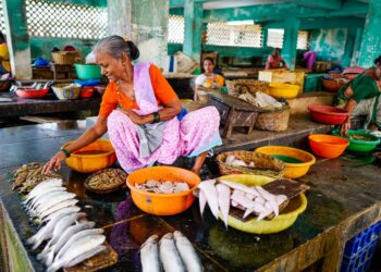 KP Govt. Establishing 287 Trout Fish Farms To Bolster Meat Production, Exports