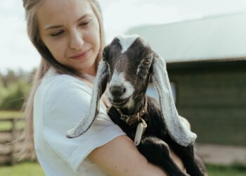 Ninth Annual Ag Day a Success