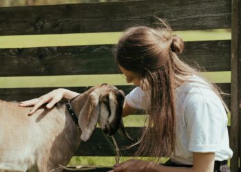 Beulah Middle School Agriculture Program Inspires, Imparts Hard Lessons