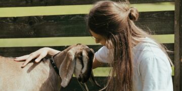 Beulah Middle School Agriculture Program Inspires, Imparts Hard Lessons