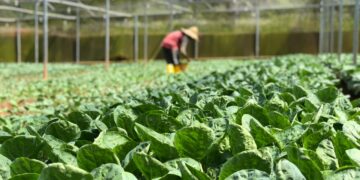 Could High-Tech Farming Be The Future Of Food?