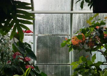 First Phase of 3rd International Autonomous Greenhouse Challenge Open for Registration