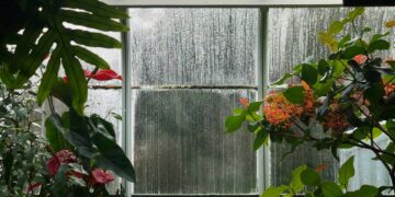 First Phase of 3rd International Autonomous Greenhouse Challenge Open for Registration