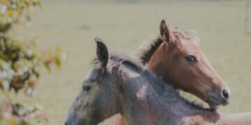 West Kazakhstan Region Shows Positive Dynamics in Agriculture and Manufacturing Industries in 2020