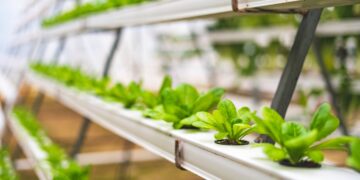 AeroFarms Expands Global Headquarters to Support Growth and Innovation