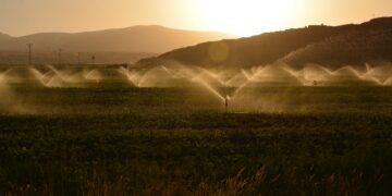 5 Things You Need To Know About Federal Drought Aid In California