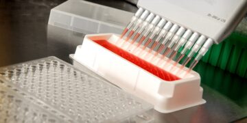 Six Novel Variants for CRISPR-Cas12a in Plants