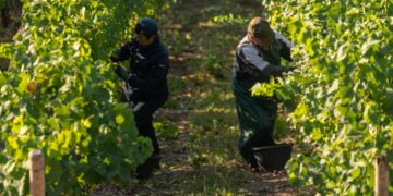 In Pandemic, Worry About Finding Summer Workers