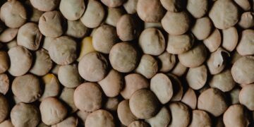 Winter Wheat, Lentil Acres Increase In Plantings Report