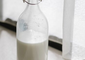 Boosting Malaysia’s fresh milk supply with 150-year-old Dutch dairy farming tradition