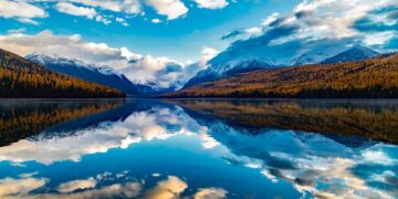 Montana Sheep Producer Elected To National Office