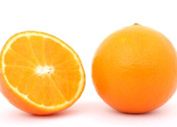 Insurance Has Become An Essential Part Of The Fresh Produce Sector