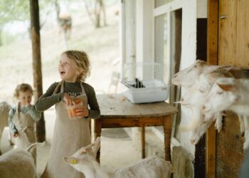 Paulding FFA Holds Annual Petting Zoo