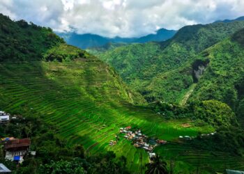 Farmers Groups Get Aid From Agriculture Agency